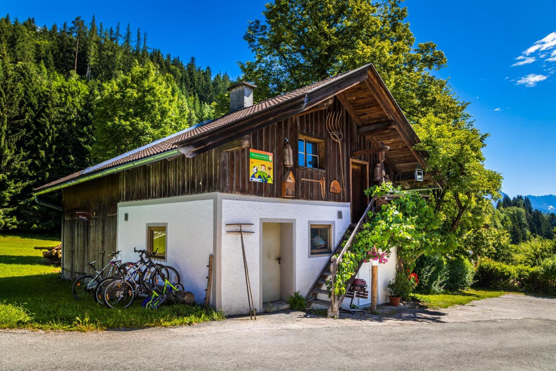 Erbhof Hinterrain Villa Leogang Ngoại thất bức ảnh
