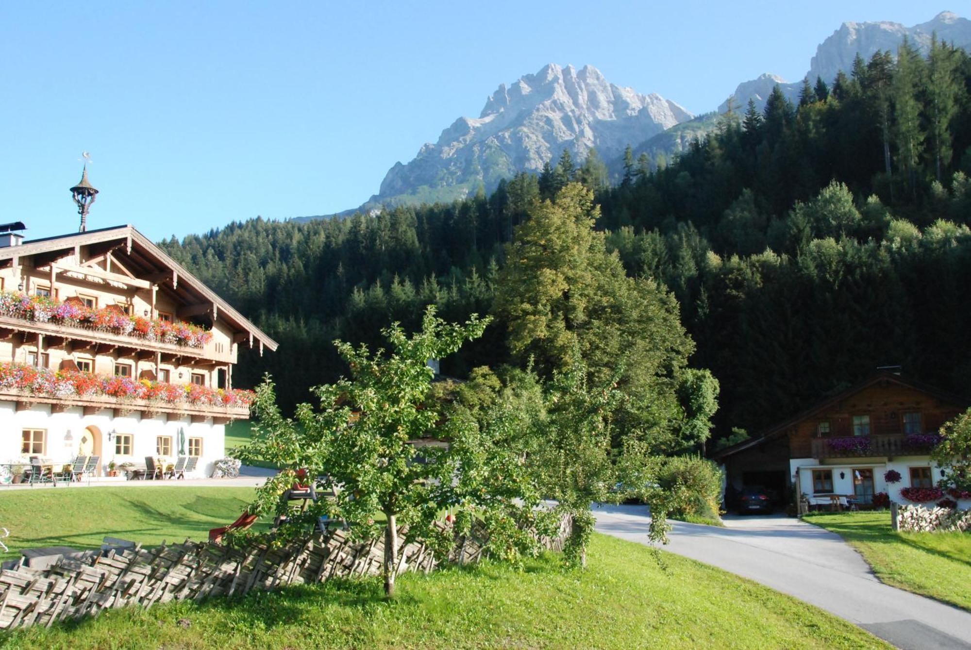 Erbhof Hinterrain Villa Leogang Ngoại thất bức ảnh